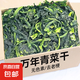 萬(wàn)年青新貨萬(wàn)年青干菜嫩菜脫水蔬菜干青菜干橄欖菜干貨心野菜干 萬(wàn)年青【脫水蔬菜】 1000g