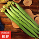 壽光新鮮長(zhǎng)絲瓜蔬菜綠皮現(xiàn)摘農(nóng)家自種綠色蔬菜應(yīng)季山東現(xiàn)發(fā)鮮嫩 新鮮絲瓜 3斤 凈重