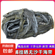 新貨霞浦干海帶 日曬散裝優(yōu)質(zhì) 煲湯涼拌 海帶干貨 日曬干海帶100g*1包