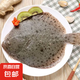 多寶魚新鮮鮮活冷凍大比目魚偏口魚八寶魚大菱鲆扁口魚 多寶魚 簡裝 400g -500g【1包】