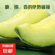 果香濃郁正宗新鮮海南網(wǎng)紋蜜瓜當(dāng)季新鮮水果壞果包賠 超值3-4斤（1-2顆裝）