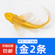 錦鯉魚活魚觀賞魚純種魚大型紅白冷水淡水好養(yǎng)耐活金魚小魚苗錦鯉 11-13cm黃金2條