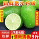 海南無籽香水檸檬新鮮水果檸檬無籽小青檸香水檸檬茶飲店專用 獨(dú)立包裝單果60-160g 2斤