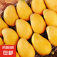 廣西小臺農(nóng)芒果 新鮮水果 帶箱3斤【單果60-80g】
