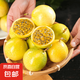 福建欽蜜九號(hào)黃金百香果孕婦新鮮水果香甜飽滿多汁營養(yǎng)壞果包賠 凈重3斤大果，單果60-70g