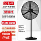 長城電風(fēng)扇工業(yè)風(fēng)扇落地扇大功率強(qiáng)力工廠車間家用商用吹除甲醛電扇大風(fēng)力倉庫掛墻扇牛角扇壁掛扇 650落地扇【塑鋼葉】加密網(wǎng)罩 質(zhì)保