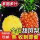 正宗海南金鉆鳳梨新鮮當(dāng)季孕婦水果金鉆甜鳳梨直接吃無需泡水爆甜 1粒裝 單果400-650g