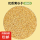 鸚鵡飼料鳥糧新黃谷子帶殼小米虎皮鸚鵡飼料玄鳳牡丹專用鳥食糧食 優(yōu)質(zhì)黃谷子500g