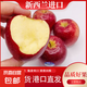 新西蘭進口紅玫瑰皇后蘋果queen新鮮當季水果上海港直發(fā)Sunbrst 12顆 【多肉多汁大果】單果170g+