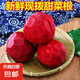 甜菜根新鮮現(xiàn)挖5斤甜菜頭紫菜頭紅甜菜可榨汁農(nóng)產(chǎn)品紅菜頭蘿卜頭 甜菜根2斤大果