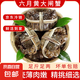 【活蟹】鮮活微山湖精品六月黃大閘蟹公母去繩凈重活發(fā)新鮮 微山湖六月黃0.9-1.1兩/只(10只裝)
