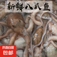 網(wǎng)紅爆頭大長腿八爪魚鮮活速凍商用活的冷凍特大新鮮大長腿八爪魚 2斤