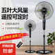 澳柯瑪電風(fēng)扇家用落地扇大風(fēng)量電扇遠(yuǎn)距送風(fēng)立式輕音制冷機(jī)械遙控客廳宿舍五葉扇風(fēng)扇 16英寸三檔風(fēng)速遙控款