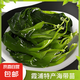 福建霞浦特產(chǎn)海帶苗鮮嫩海帶芽苗鹽漬海帶嫩苗火鍋食材專用 海帶苗500g*1袋