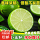 香水檸檬塔西提青檸檬新鮮無籽薄皮檸檬當季生鮮源頭產(chǎn)地直發(fā)S 【帶箱2斤裝】塔希提無籽青檸檬