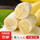 廣西小米蕉新鮮水果現(xiàn)摘青皮發(fā)貨邦達特產(chǎn)生鮮館 小米蕉統(tǒng)貨 2斤裝（帶箱）
