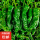 山東臨沂新鮮皺皮辣椒正宗薄皮特辣青椒虎皮辣椒農(nóng)家自種現(xiàn)摘現(xiàn)發(fā) 皺皮辣椒 1斤 精品（手工挑選）