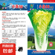 北京小雜56早熟黃心大白菜種籽春夏秋包心白菜種高產(chǎn)抗病蔬菜種子 小雜56種子 一包約1000粒