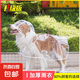狗狗加厚雨衣泰迪中小型犬柴犬防水透明雨披寵物可牽引雨天衣服 寵物雨衣-白色 XL (建議9-12斤)