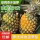 廣東香水菠蘿新鮮水果徐聞菠蘿當(dāng)季孕婦菠蘿非鳳梨整箱包郵 1粒裝 單果1.3-1.5斤