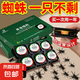 蜘蛛專用藥非無(wú)毒驅(qū)除紅蜘蛛神器家用室內(nèi)防驅(qū)蟲滅殺蟲劑蟲卵雙殺 蜘蛛殺蟲膠餌5盒/兩年有效