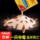 滅蟑螂藥殺蟑螂強(qiáng)效全窩端家用無(wú)毒室內(nèi)一窩端螞蟻蜘蛛廚房殺蟲(chóng) 5包【買(mǎi)的人都說(shuō)好】
