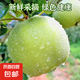 2025現(xiàn)摘青蘋果新鮮水果當(dāng)季時令酸脆甜孕婦水果猴哥 青蘋果帶箱5斤60mm