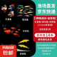 小型觀賞魚(yú)孔雀魚(yú)米奇魚(yú)斑馬魚(yú)白云金絲金苔鼠魚(yú)小型熱帶魚(yú)活體魚(yú) 孔雀斑馬米奇各4條+金苔鼠2條新