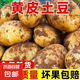 2025新貨土豆正宗新鮮現(xiàn)挖馬鈴薯洋芋整箱黃皮黃心軟糯批發(fā)蔬菜 帶箱5斤土豆