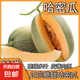 正宗海南哈密瓜新鮮水果疆西州蜜瓜25號老漢瓜網(wǎng)紋甜瓜哈密瓜脆甜 帶箱5-6斤 (2-3個 )