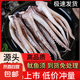 魷魚(yú)須燒烤海鮮食材冷凍章魚(yú)生鮮尤魚(yú)鐵板魷魚(yú)串腿海鮮商用批發(fā) 魷魚(yú)須【二本足】300g/袋*2