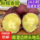 正宗海南澄邁橋頭地瓜富硒地瓜紅薯新鮮沙地板栗蜜薯糖心產(chǎn)地直發(fā) 2斤【約7~20根】源頭直采包郵