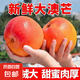 澳芒新鮮水果批發(fā)應(yīng)季水果芒果 4斤裝