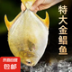 8條 特大號(hào)金鯧魚 新鮮海魚 鯧魚 深海冷凍海昌特大金昌海鮮水產(chǎn) 1斤-1.2斤左右/條 2條