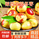 陜西大荔冬棗新鮮大棗特大脆甜冬棗青棗 應(yīng)當(dāng)季新鮮水果孕婦水果 【活動合單發(fā)貨】帶箱1斤 12-16g