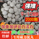 磁力泥丸超硬亮面不臟手彈弓專用彈珠加重泥球9mm10mm毫米泥丸子 白色彈弓泥丸【9-10mm/2000顆】