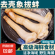 去殼新鮮象拔蚌刺身鮮活冷凍即食切片冰鎮(zhèn)象鼻蚌仔象牙蚌海鮮水產(chǎn) 1袋象拔蚌肉 400g(凈重)  【去殼】