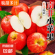 南非進(jìn)口小蘋果 脆甜可口富士新鮮水果迷你小巧方便攜帶 10個裝(單果80-100g)