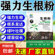 強(qiáng)力生根粉快速生根壯苗劑生根粉快速發(fā)根強(qiáng)力生根液生根粉移栽 【生根粉1斤裝】2包