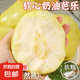 黃金奶油芭樂軟糯番石榴新鮮水果低卡輕食 2斤（帶箱）