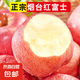 正宗煙臺蘋果棲霞紅富士脆甜新鮮水果整箱生鮮蘋果水果 凈重4.5斤80mm