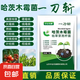 中谷農(nóng)康正品一刀斬哈茨木霉菌微生物菌劑殺菌大全枯草芽孢桿菌病 一刀斬30克*20袋