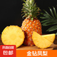 海南金鉆鳳梨 新鮮水果無眼菠蘿熱帶水果當季整箱 金鉆鳳梨凈重8.5-9斤4-6個