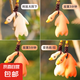 【熱銷爆款】變色烤鴨手機創(chuàng)意掛件車載汽車掛件創(chuàng)意后視鏡鴨子掛飾車載網(wǎng)紅可愛車內(nèi)裝飾品 小號一個+大號一個【共2個組合裝】