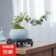 【禪意】懸崖金邊六月雪帶陶瓷盆小盆景植物辦公室內(nèi)綠植盆栽盆景 懸崖六月雪+冰裂盆+方底座+苔蘚
