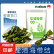 霞浦鹽漬海帶結(jié) 海帶扣海白菜 麻辣燙火鍋燒烤 2500g五斤裝【精選出口品質(zhì)】