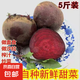 甜菜根新鮮現(xiàn)挖5斤甜菜頭紫菜頭紅甜菜可榨汁農(nóng)產(chǎn)品紅菜頭蘿卜頭 甜菜根5斤大果3-6個(gè)