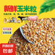 干玉米粒喂雞鴨鵝鳥鴿子食飼料釀酒打窩釣魚餌農(nóng)家苞米粒黃玉米 10斤玉米粒