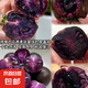 【墨明珠黑番茄】黑玫瑰番茄紫龍樊圣女果紫瓤紫色汁水水果小柿子 墨明珠小番茄 3斤 凈重 富含花青素的小番茄