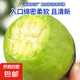 進(jìn)口牛油果秘魯哈斯大果新鮮水果孕婦寶寶輔食【放軟食用】 2個(gè)裝 大果 單果130-170g